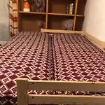 Casa Gugjet Cuore Carnico - Tamai -giardino - Senza Scale - Parcheggio Privato - 4 Zampe Gratis