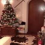 Appartement Casa Gugjet Cuore Carnico - Tamai -giardino - Senza Scale - Parcheggio Privato - 4 Zampe Gratis *