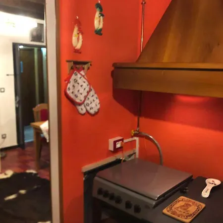 Casa Gugjet Cuore Carnico - Tamai -giardino - Senza Scale - Parcheggio Privato - 4 Zampe Gratis Апартаменты