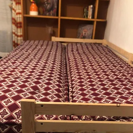 Casa Gugjet Cuore Carnico - Tamai -giardino - Senza Scale - Parcheggio Privato - 4 Zampe Gratis