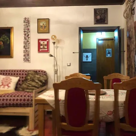 Casa Gugjet Cuore Carnico - Tamai -giardino - Senza Scale - Parcheggio Privato - 4 Zampe Gratis Appartamento