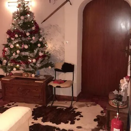 Appartement Casa Gugjet Cuore Carnico - Tamai -giardino - Senza Scale - Parcheggio Privato - 4 Zampe Gratis *