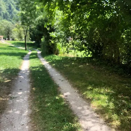 Casa Gugjet Cuore Carnico - Tamai -giardino - Senza Scale - Parcheggio Privato - 4 Zampe Gratis