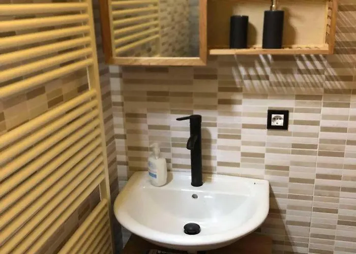 Apartman Casa Gugjet Cuore Carnico - Tamai -giardino - Senza Scale - Parcheggio Privato - 4 Zampe Gratis Arta Terme