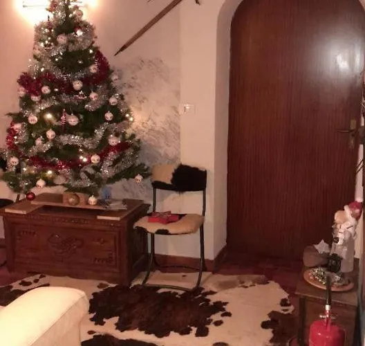 Apartman Casa Gugjet Cuore Carnico - Tamai -giardino - Senza Scale - Parcheggio Privato - 4 Zampe Gratis *