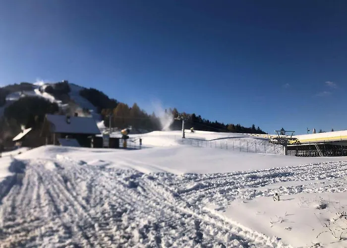 Casa Gugjet Cuore Carnico - Tamai -giardino - Senza Scale - Parcheggio Privato - 4 Zampe Gratis * Arta Terme